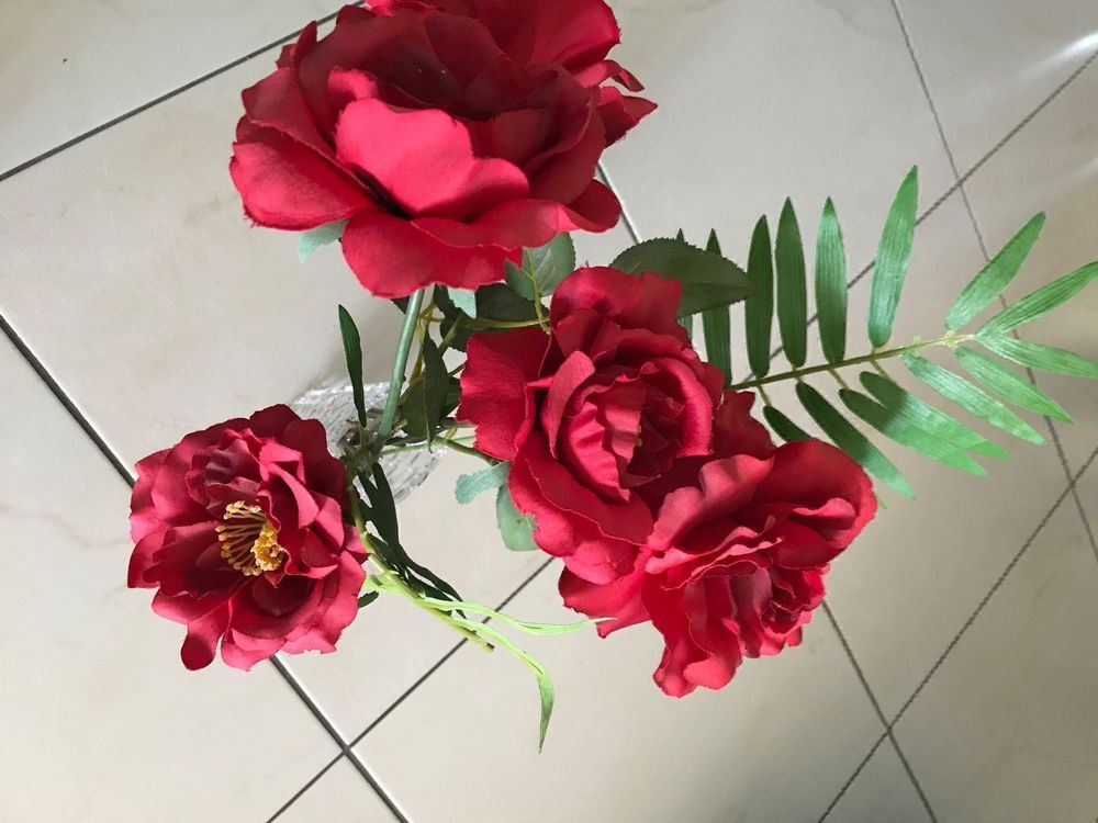 Rote Rosen aus Plastik (Gebraucht) in Dielsdorf für CHF 5 – mit ...