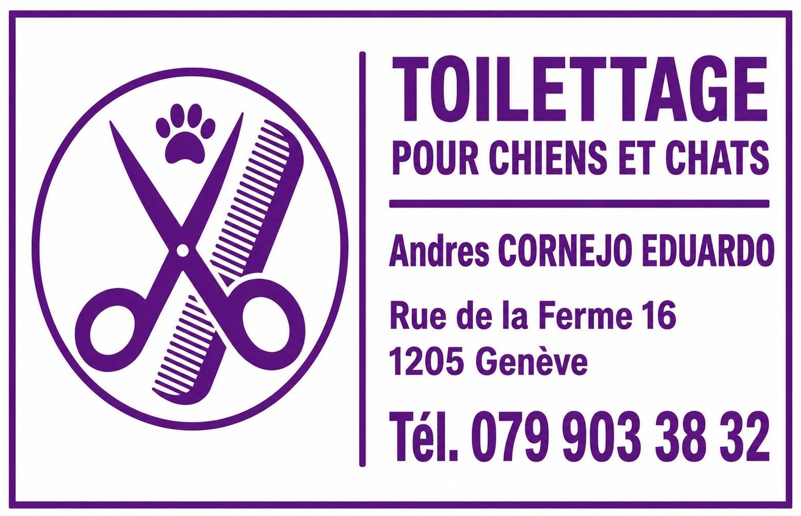 Altro per Ufficio & Commercio: Toilettage chien/chat a domicile – Nuovo (secondo la descrizione) da Genève venduto da and_62tf 2