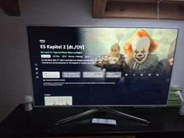 Fernseher