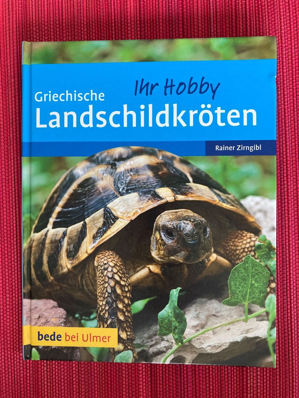 Libri: Griechische Landschildkröten – Usato da Baden venduto da Yoyo1