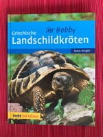 Griechische Landschildkröten