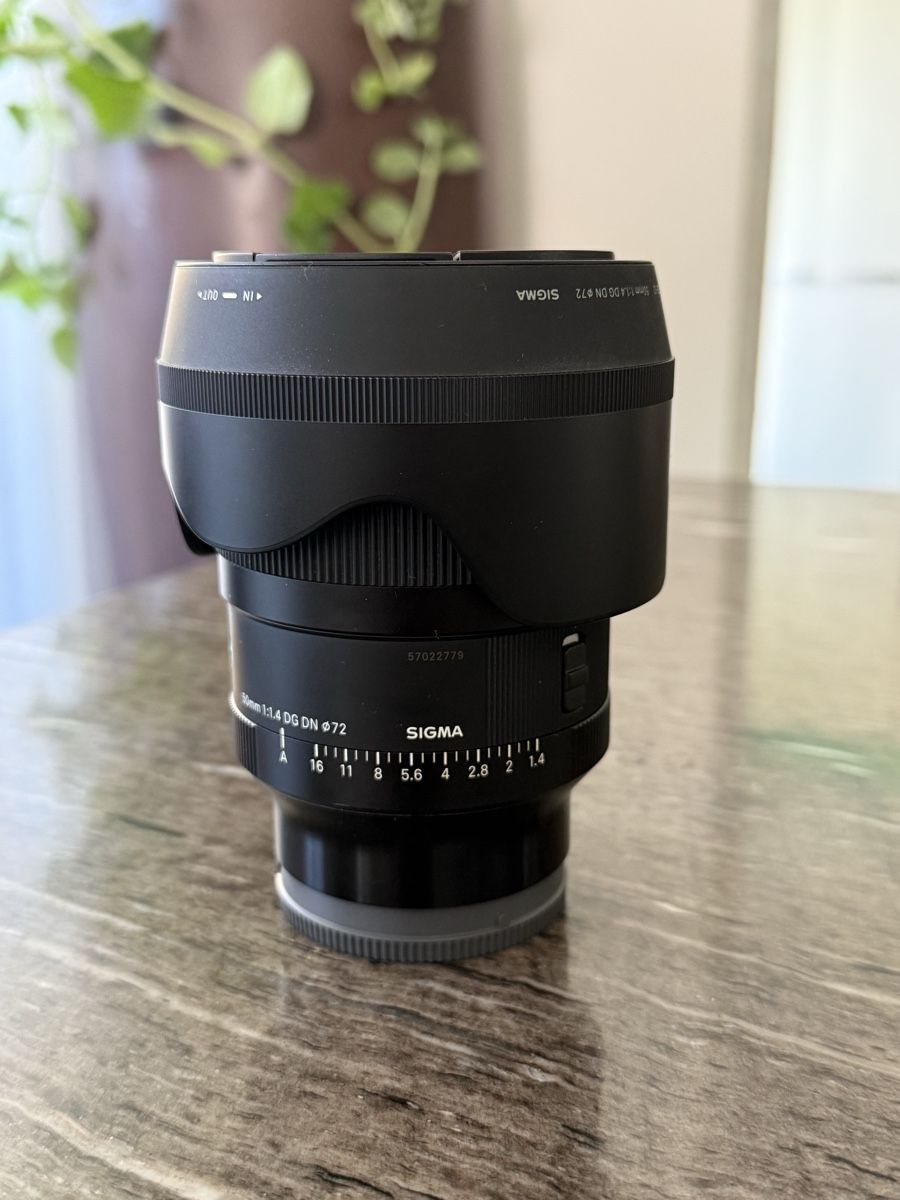 Sigma Obiettivi: Sigma 50mm DG DN F1.4 Sony E-Mount – Usato da Krauchthal venduto da news103