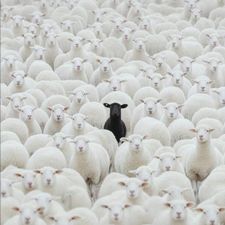 Profile image of on_off