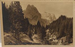 ROSENLAUI - Wellhorn und Wetterhorn - 1910