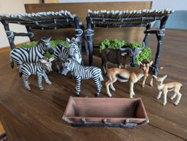 Schleich-Set: Zebra & Co.