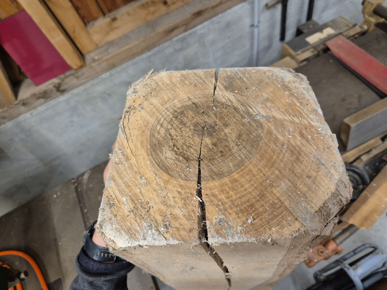 Articoli in legno: Nussbaum Klotz – Usato da Oberriet venduto da sev_mts5 5