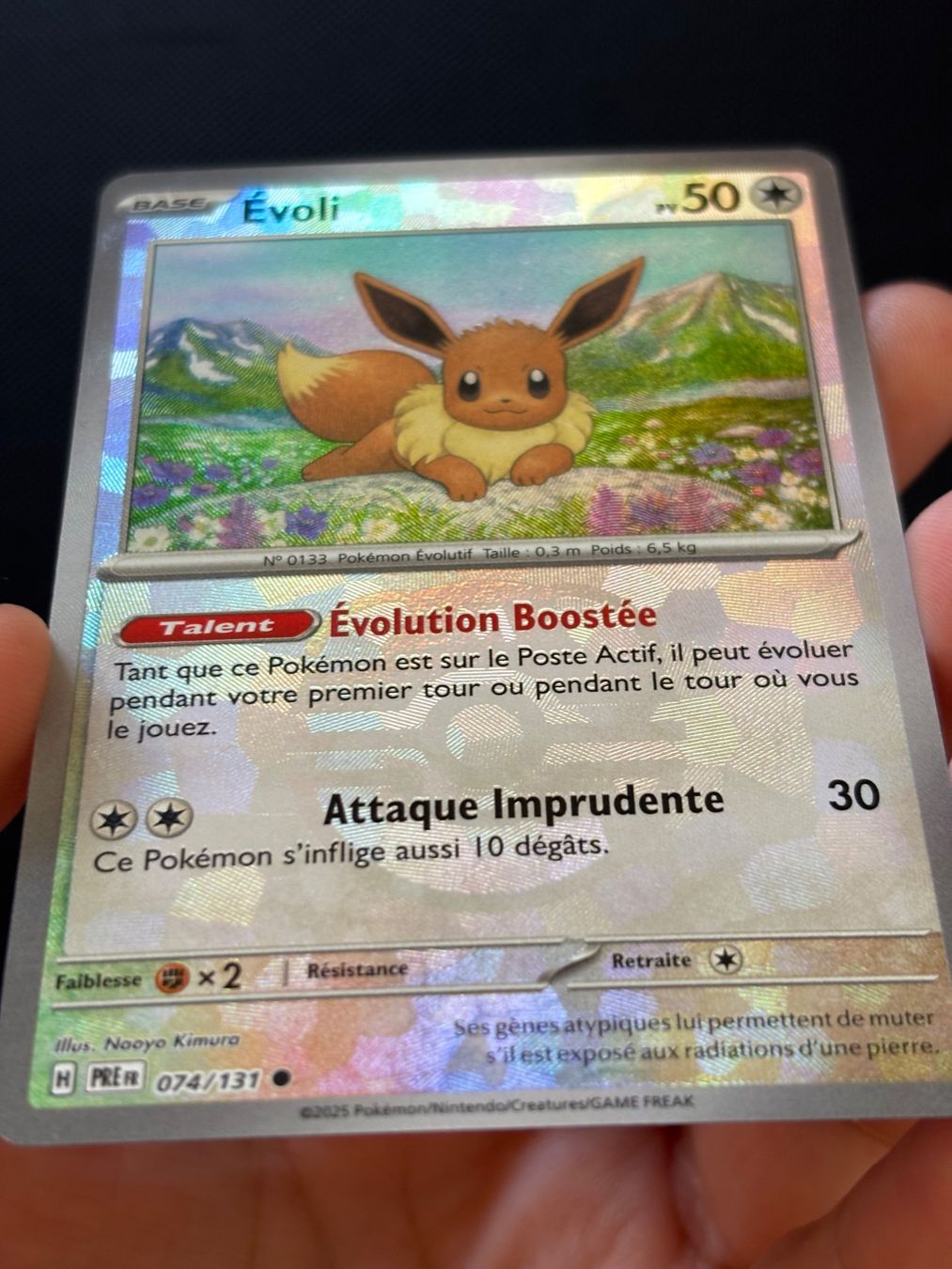 Pokémon Sammelbilder & Trading cards: Fr - Evoli Masterball 074/131 - Pokémon – Neu (gemäss Beschreibung) aus Neuchâtel von caraadrynn 4