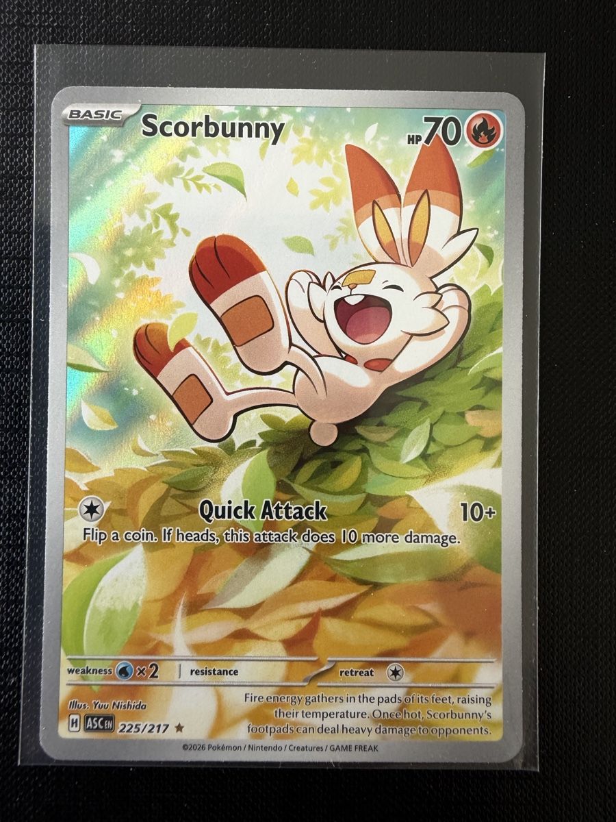 Pokémon Carte collezionabili: Scorbunny #225 ASC EN – Nuovo (secondo la descrizione) da Savigny venduto da Matgab94