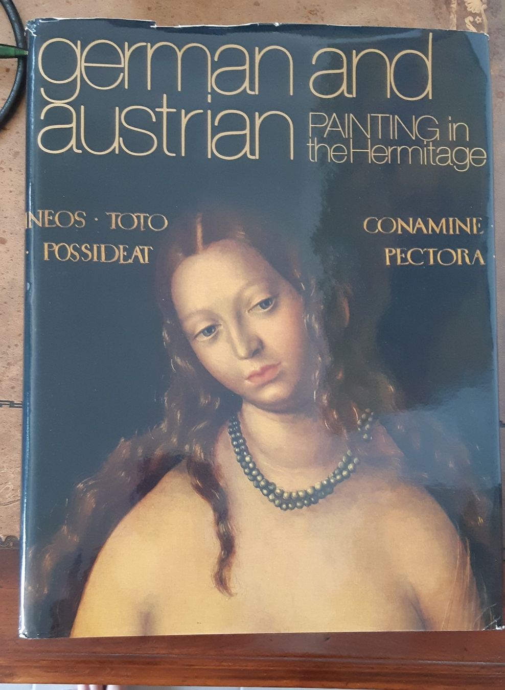 Livres: Hermitage: German & Austrian Painting – D'occasion à Stetten AG par Brissago25