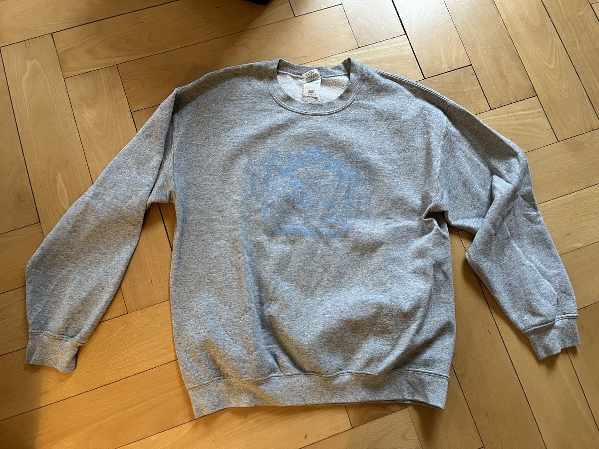 Pullover & Sweatshirts: Hoodie mit Print – Gebraucht aus Zürich von cat_rsn7