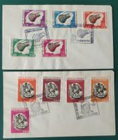Paraguay Motiv Raumfahrt Space Stamps / 2 Cover 1963