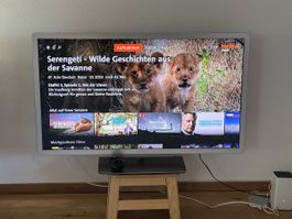 TV Philips 110x85cm