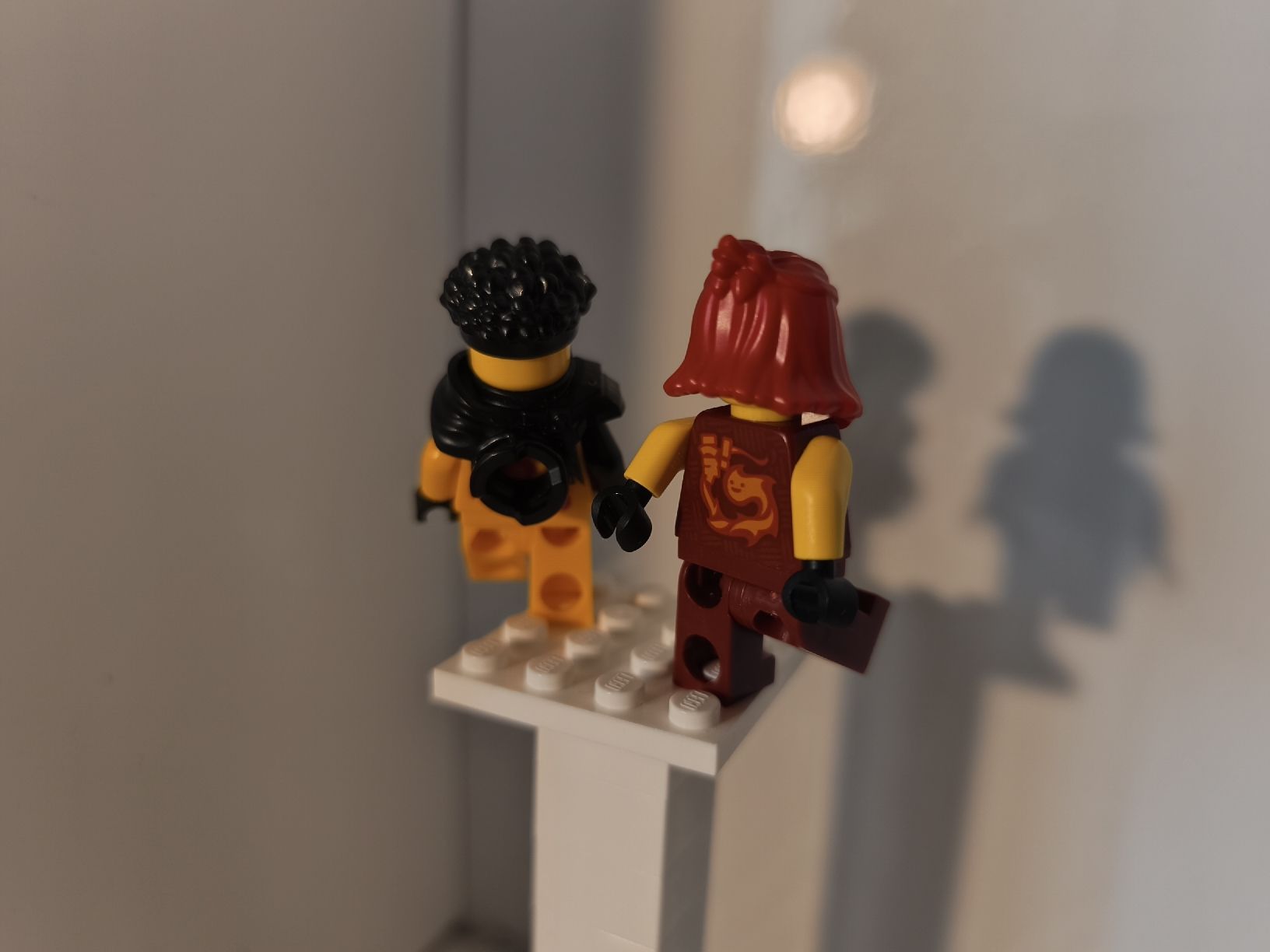 Lego Statuette: Lego Ninjago Arin & Wildfire – Nuovo (secondo la descrizione) da Diegten venduto da cil_5sjx 1