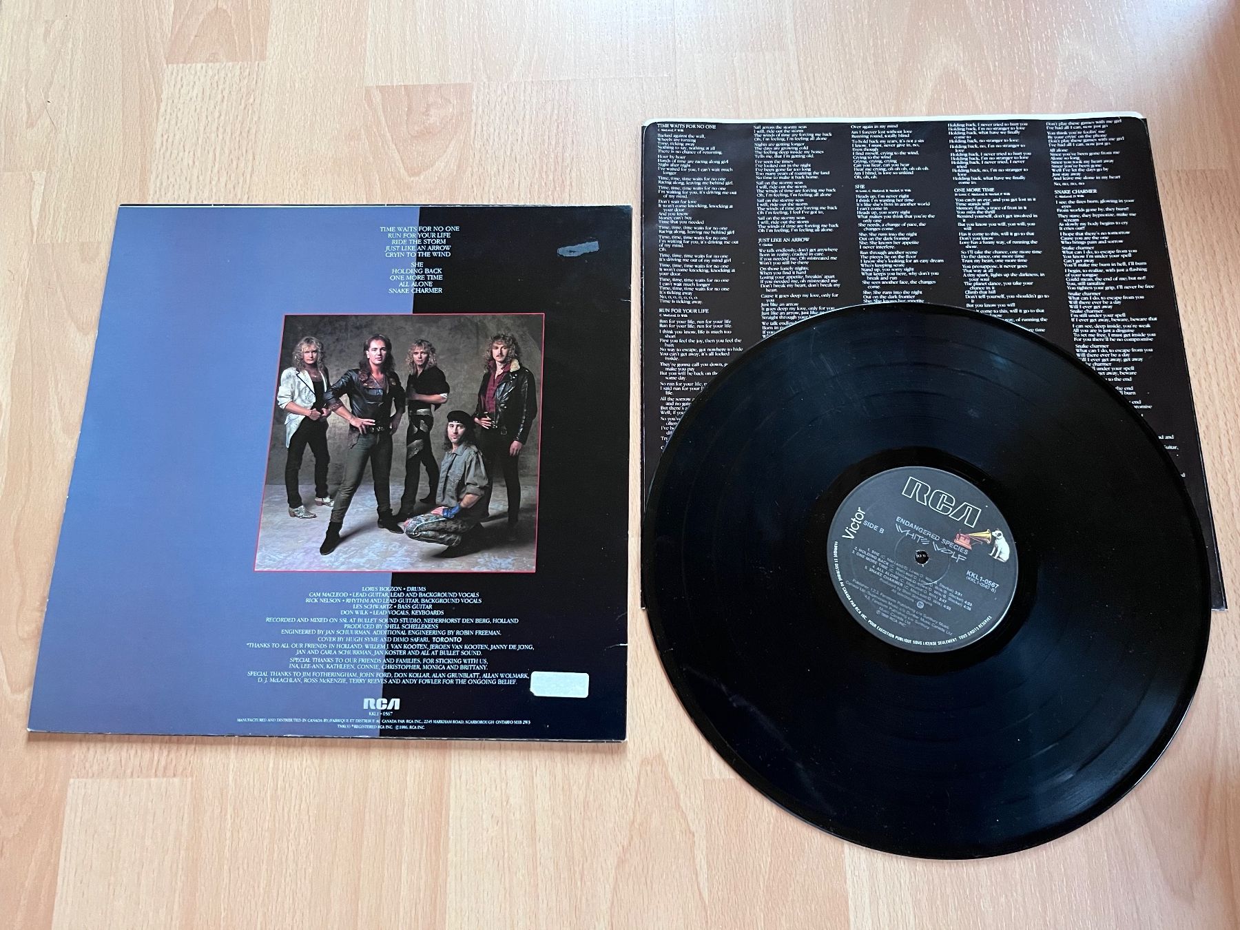 Dischi in vinile: White Wolf - Endangered Species – Usato da Giebenach venduto da Wurlitzer70 1