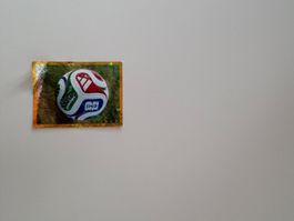 FWC 5 PANINI Sticker