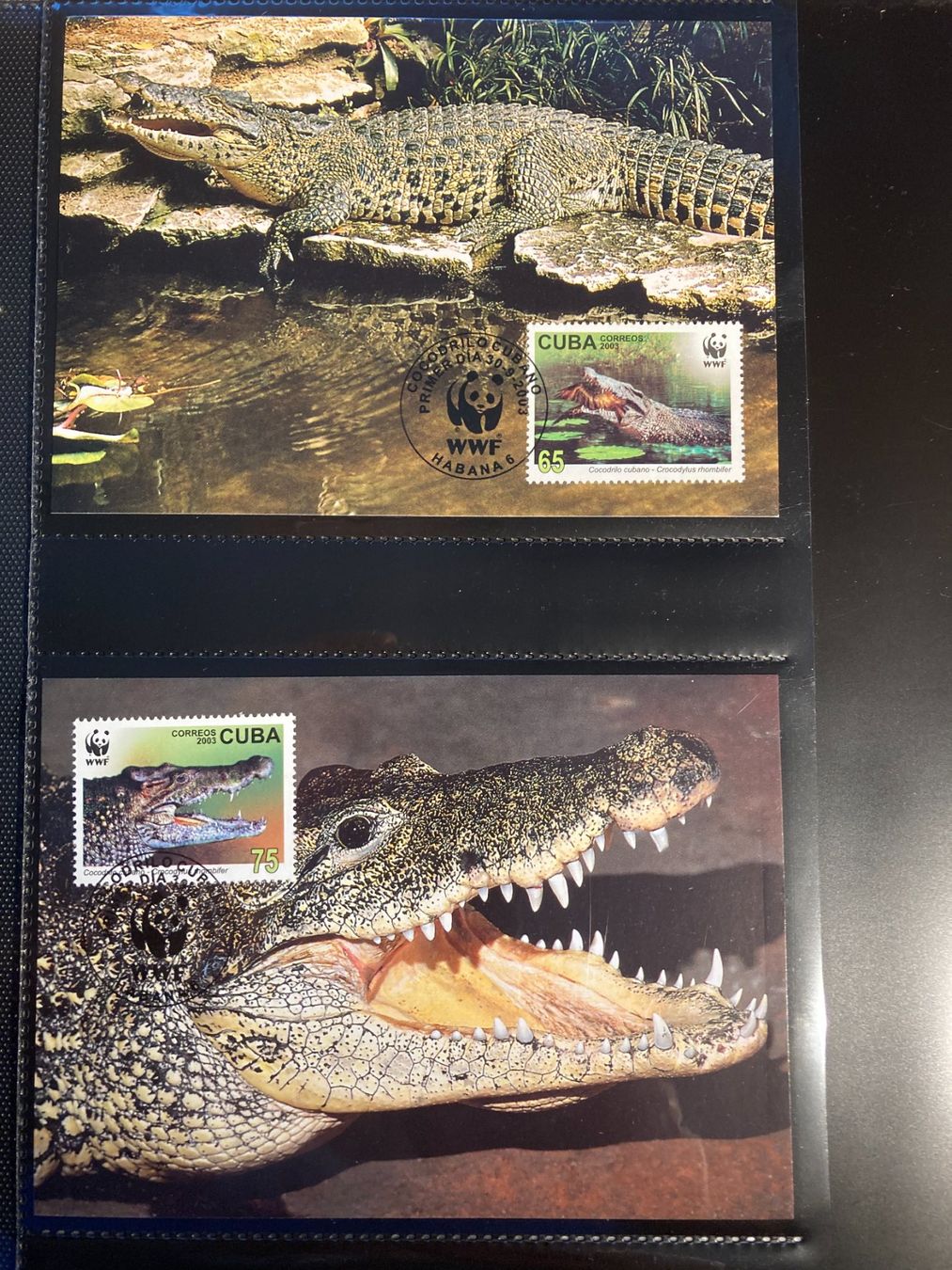 Alle Briefmarken: Kuba 2003 Satz WWF Rautenkrokodil Maximumkarten – Neu (gemäss Beschreibung) aus Liestal von schnueps 1