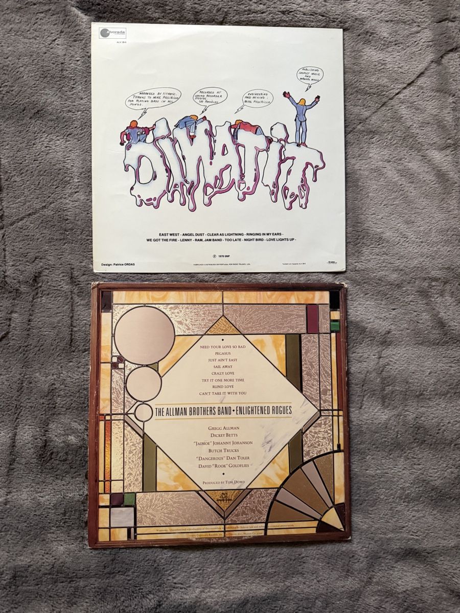 Dischi in vinile: Titanic & The Allman Brothers – Usato da Lausanne venduto da rkiko11
