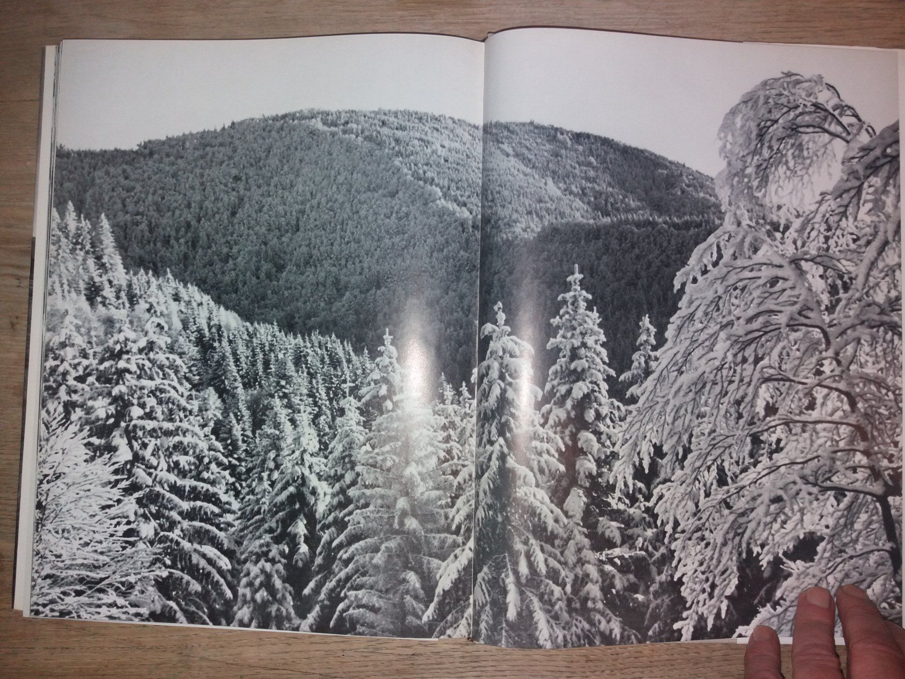 Libri: FOTOKLASSIK Jakob Tuggener Rar – Usato da Welschenrohr venduto da Regool 1