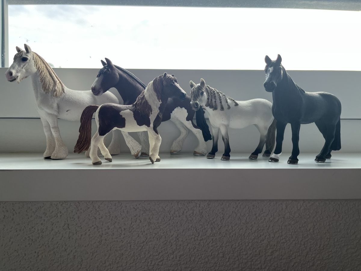 Schleich Giocattoli: Schleich Pferde 5 Set – Usato da Pfäffikon ZH venduto da mal_xs7b