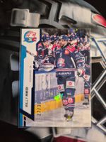 Willy Riedi ZSC Lions 2024/25 Sportzoo 27/30