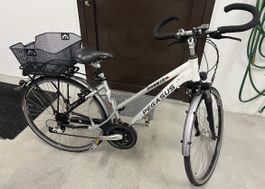 Cityrad Pegasus Premio SL silber mit Korb gebraucht