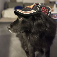 Profile image of Mogli_2017
