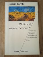 Wohin mit meinen Schmerz? von Liliane Juchli