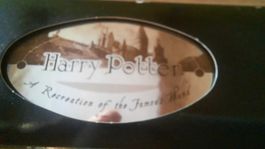 Harry Potter Zauberstab - Originalgetreue Nachbildung!