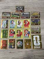 Panini Sticker