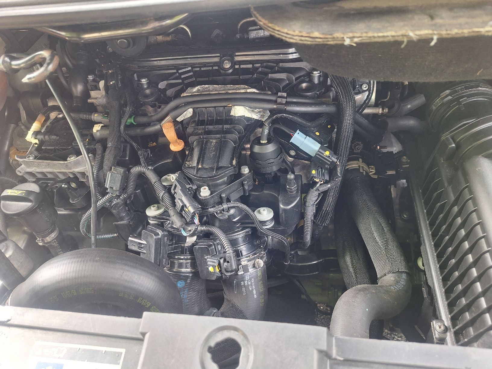 Peugeot Automobili: Peugeot 807 2.0 hdi – Usato da Muri AG venduto da Misini1973 7