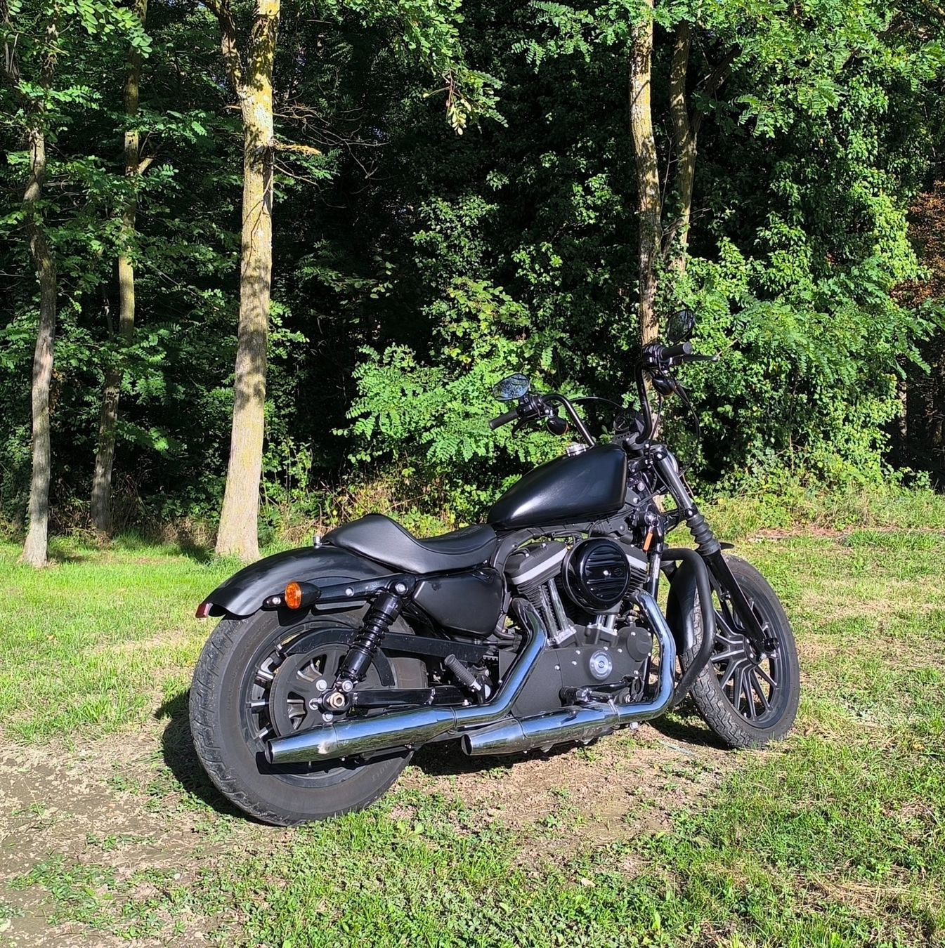 Harley-Davidson Altro: Harley Davidson Iron 883 – Usato da La Croix-de-Rozon venduto da oli_b9tk 2