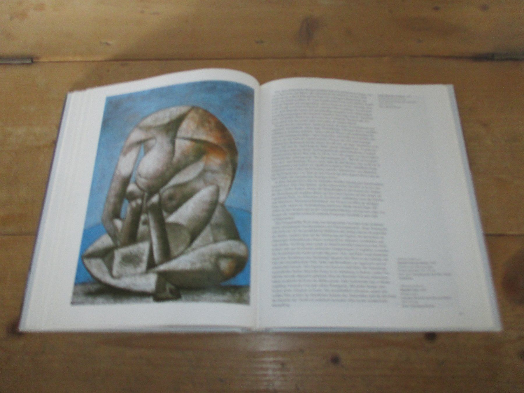 Livres: Picasso – D'occasion à Flims - Dorf par Stagediver 3