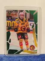 Sportzoo. NLA. Thierry Schild 6/30. SC Bern