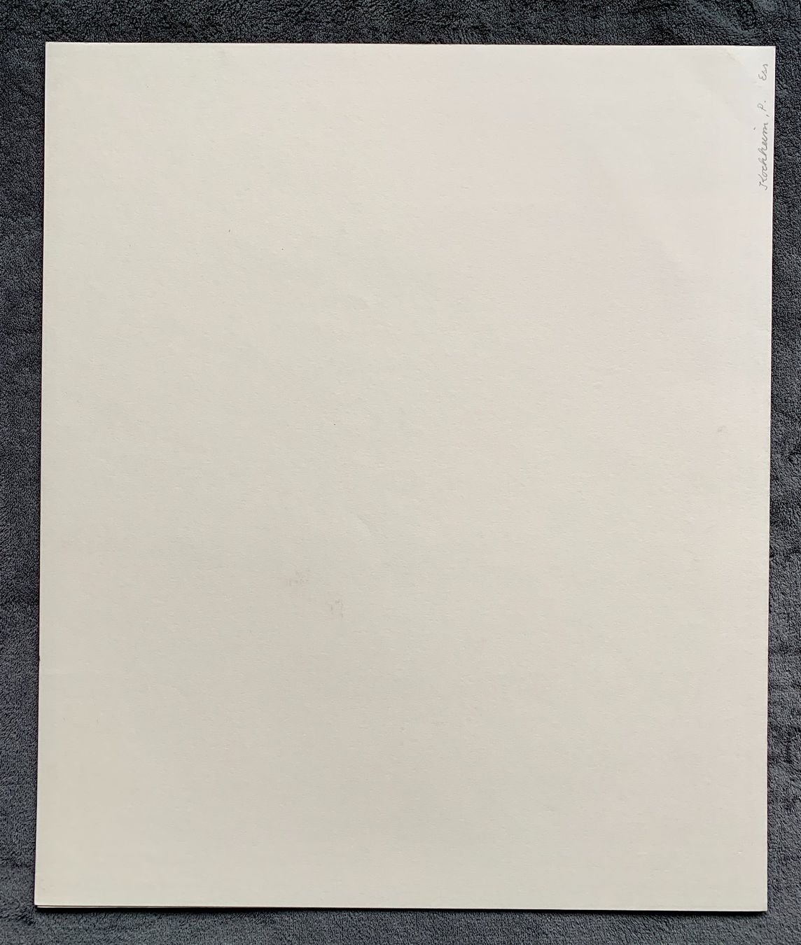Grafica & Litografie: Kiki Smith – Lithographie Fly – Usato da Regensdorf venduto da JoergR 6