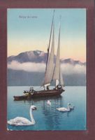 BARQUE DU LEMAN - Cygnes - 1912