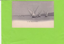 Barques du Léman