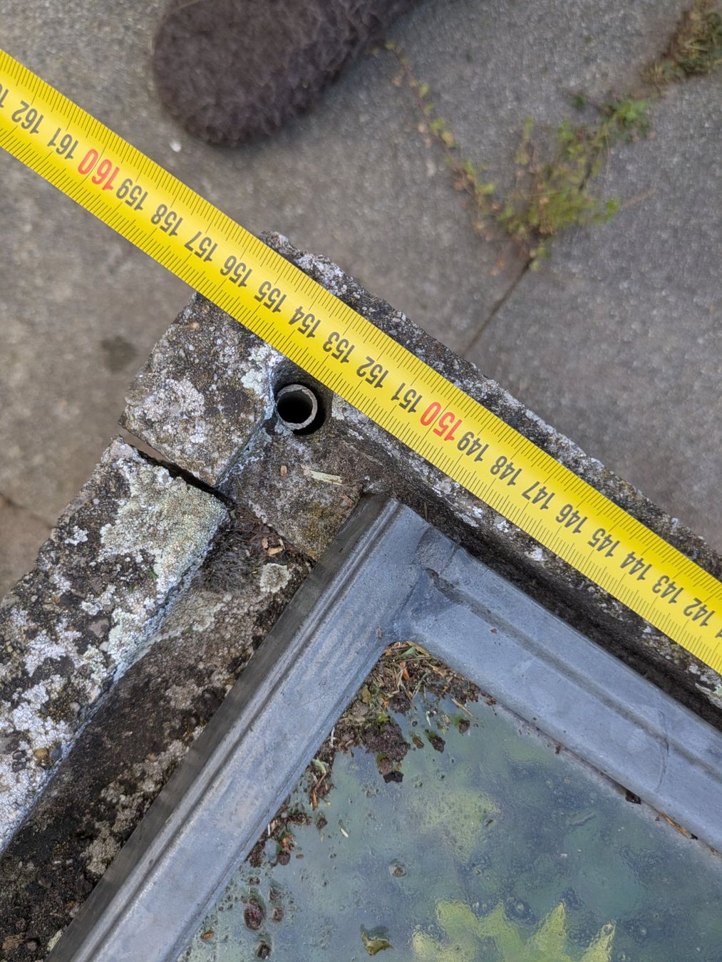 Casette da giardino & serre: Frühbeet Couche Gewächshaus mit 4 Abdeckungen – Usato da Wangen An Der Aare venduto da ProtonX 1
