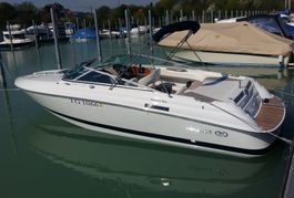 Cobalt 233 Top Zustand Bodenseezulassung