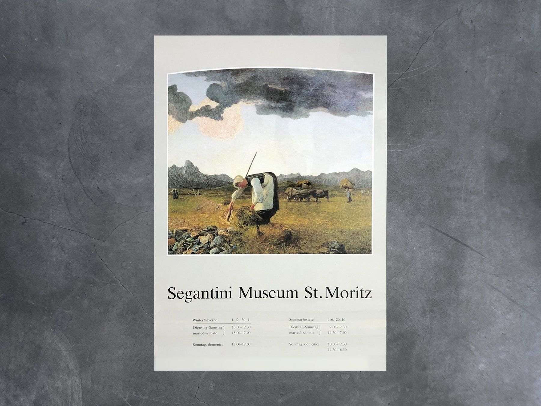 Foto & Immagini: Plakat Segantini Museum St.Moritz – Usato da Chur venduto da dr.retro