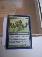 carte magic rare : scion de la forêt 