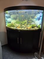 Aquarium Juwel Trigon 350 Liter