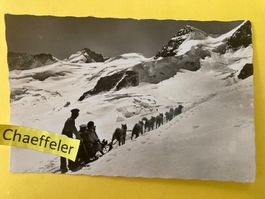 4286 Jungfraubahn. Polarhunde auf dem Jungfraujoch