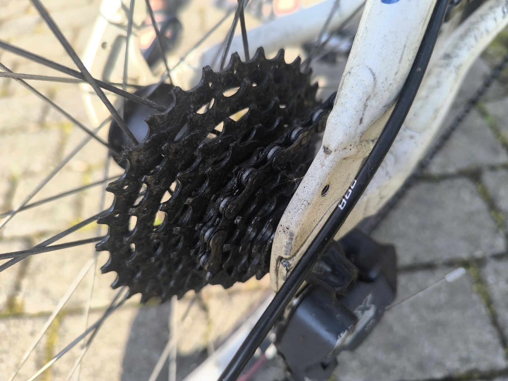 Biciclette: Damen Mountainbike – Usato da Spreitenbach venduto da Musikmen 5