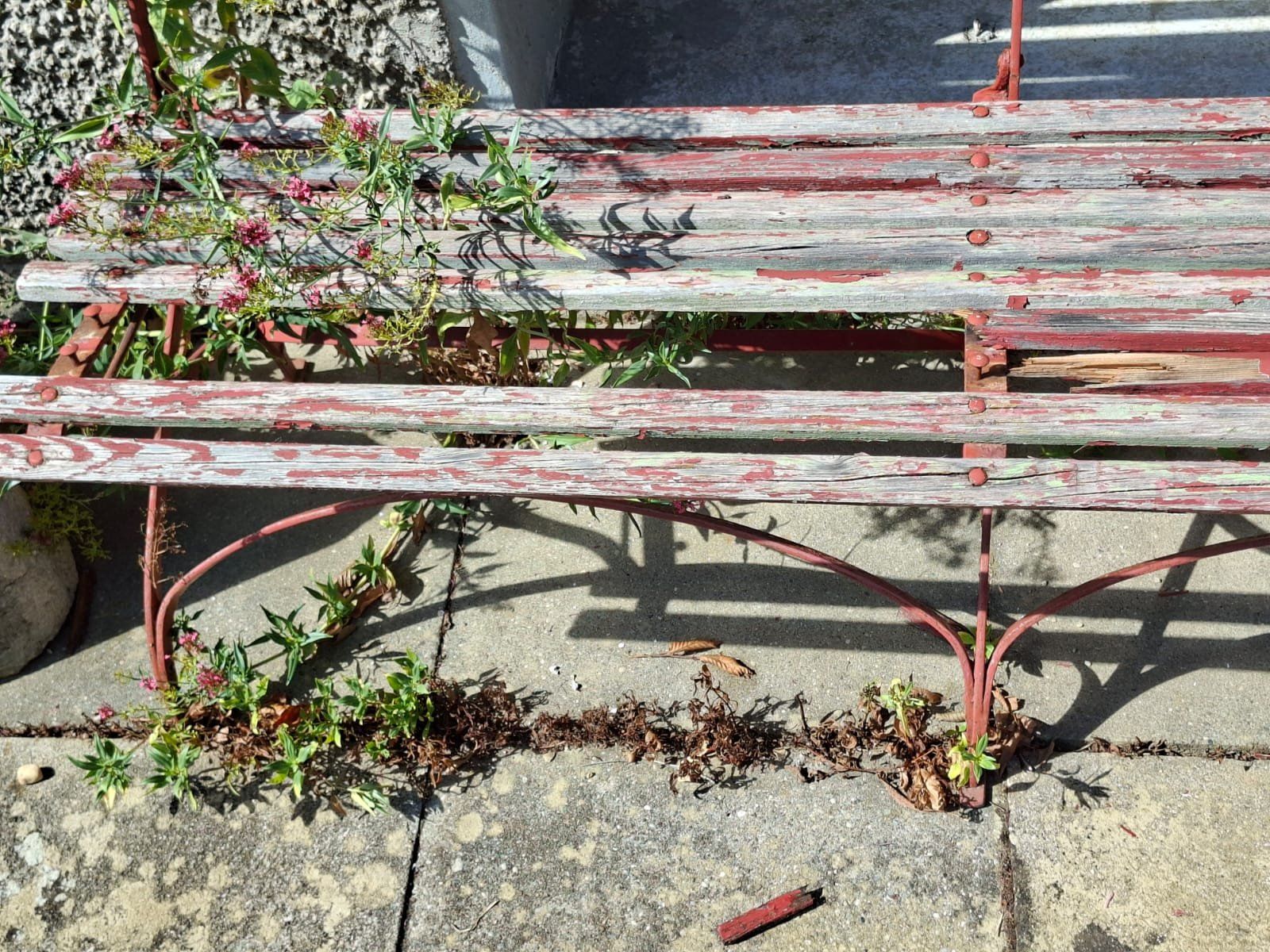 Panchine: Alte unrestaurierte Gartenbank – Usato da Trimbach venduto da stillik 2