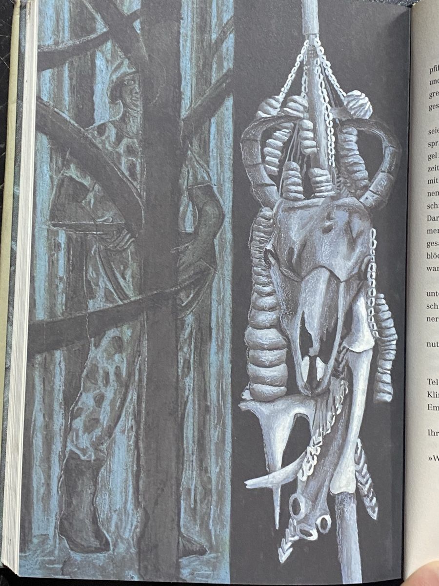 Libri: Urs Widmer: Im Kongo - Illustriert – Usato da Zuerich venduto da SonderArt-Wertgut 4