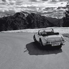 Profile image of tekapo