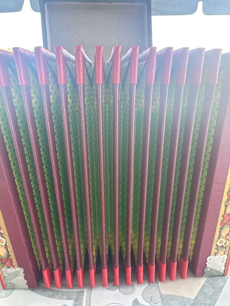 Strumenti musicali: Örgeli Iten  B. 2 chörig  – Usato da Bern venduto da Daniel-wyss 3