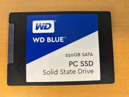 SSD WD Blue PC SSD 250GB Gebraucht