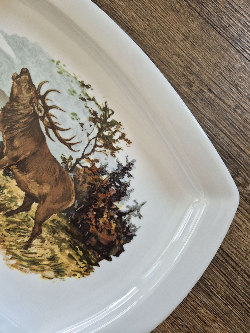 Piatti di portata: Servierplatte mit Hirsch, Langenthal Suisse – Usato da Eschlikon TG venduto da zuzanka80 4