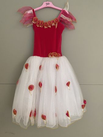 Girls Ballet Dress, Rose Tulle Fairy Costume, Gr. M